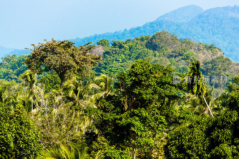 岛山在Koh Chang